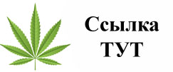 Купить наркотики в Белореченске
